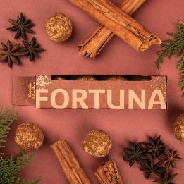 Bombita Herbal x4 Fortuna