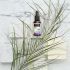 Aceite Esencial Lavanda Relajante 30ml