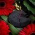 Incensario Negro Redondo Lotus 10cm