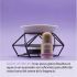 Esencia SYS Flor de Loto 12ml