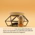 Esencia SYS Mango 12ml.